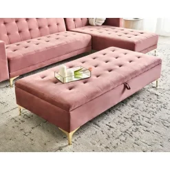 ABERDEEN - Ottomaan met opbergruimte - Roze - Fluweel