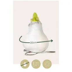 Amaryllis - Hippeastrum 'Wax Mix Red White' - Bloembol - Rood