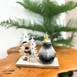 Amaryllis - Hippeastrum 'Winter Wonderland Reindeer'