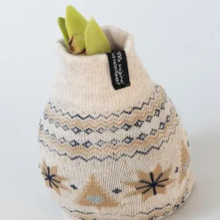 Amaryllis - Set van 3 - Hippeastrum 'Christmas Sweater' - Bloembol - Rood