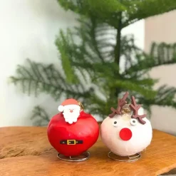 Amaryllis - Set van 2 - Hippeastrum 'Wax special Santa Mix'