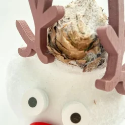 Amaryllis - Set van 2 - Hippeastrum 'Wax special Santa Mix'