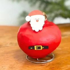 Amaryllis - Set van 2 - Hippeastrum 'Wax special Santa Mix'