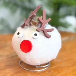 Amaryllis - Set van 2 - Hippeastrum 'Wax special Santa Mix'