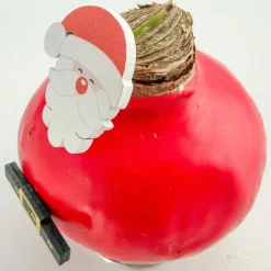 Amaryllis - Set van 2 - Hippeastrum 'Wax special Santa Mix'