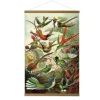 Art for the home Linnen Hanging Poster Hummingbirds 80x60cm