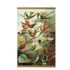 Art for the home Linnen Hanging Poster Hummingbirds 80x60cm