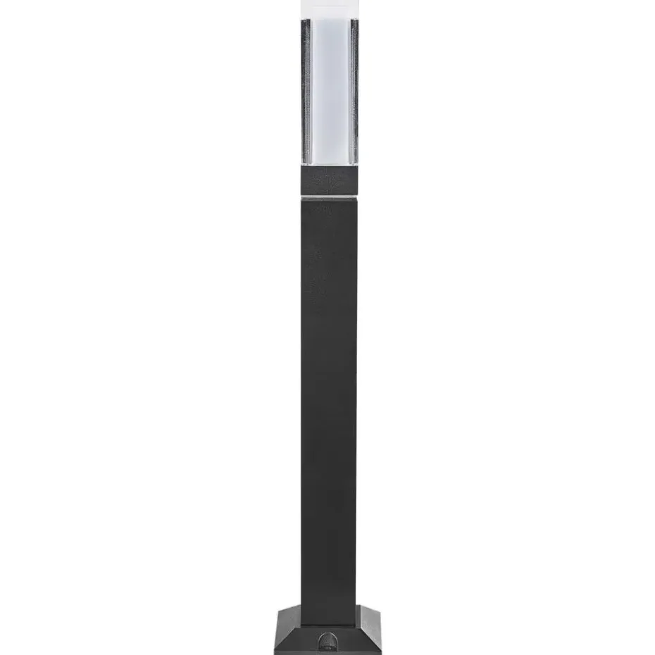 AWUNA - Tuinverlichting - Zwart - Aluminium