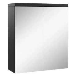 Badplaats Spiegelkast Toledo 60 x 20 x 60 cm - Zwart - Badkamerkast Badkamer