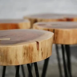 Bijzettafel Boomstam Arbor acaciahout - 32x32x45 cm - Hout - Bruin