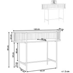 BIRSON - Consoletafel - Zwart - MDF