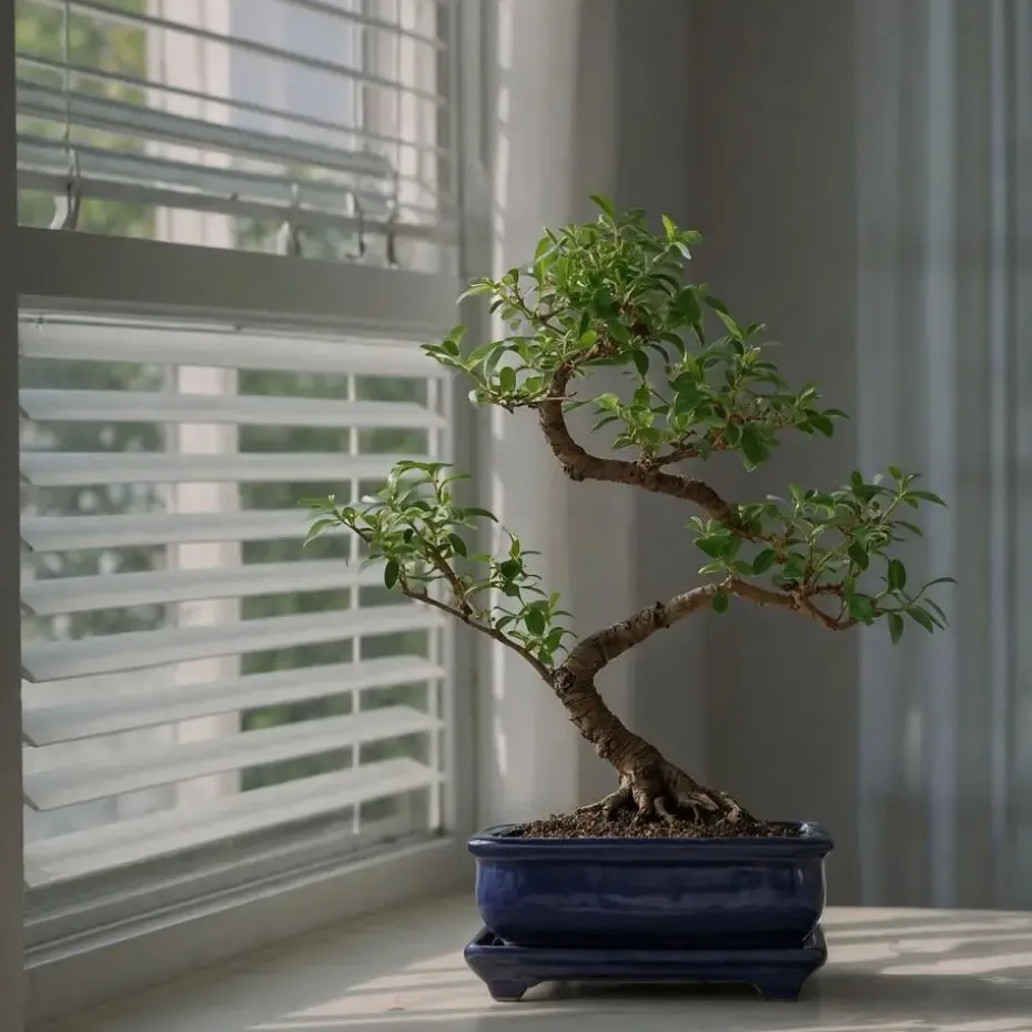 Bonsai - Carmona microphylla - Hoogte 25-30cm - ⌀20cm