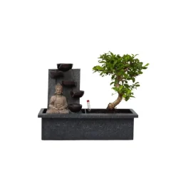 Bonsai met Buddha - Bonsai - Hoogte 25-35cm - ⌀29cm