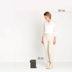 Brabantia Pedaalemmer NewIcon - 3L - Platinum