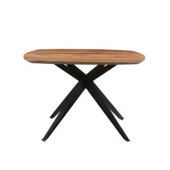 Brix - Eetkamertafel Brix Bjorn - Eettafel- 120cm - Mangohout - Bruin