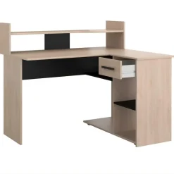 Bureau Professional 102cm- zwart/eik