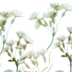 Cinderella Sereen Dekbedovertrek Satijn Wit-Lits-jumeaux (240 x 200/220 cm)