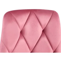 CLP Set van 2 Eetkamerstoel Clairton zwart Frame - Fluweel - roze