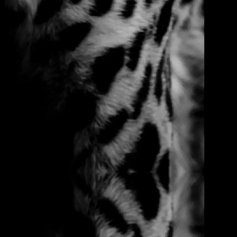 Deurmat Cheetah antraciet/blauw - 50x150 cm