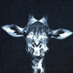 Deurmat Wild Life Giraffe - 66x120 cm