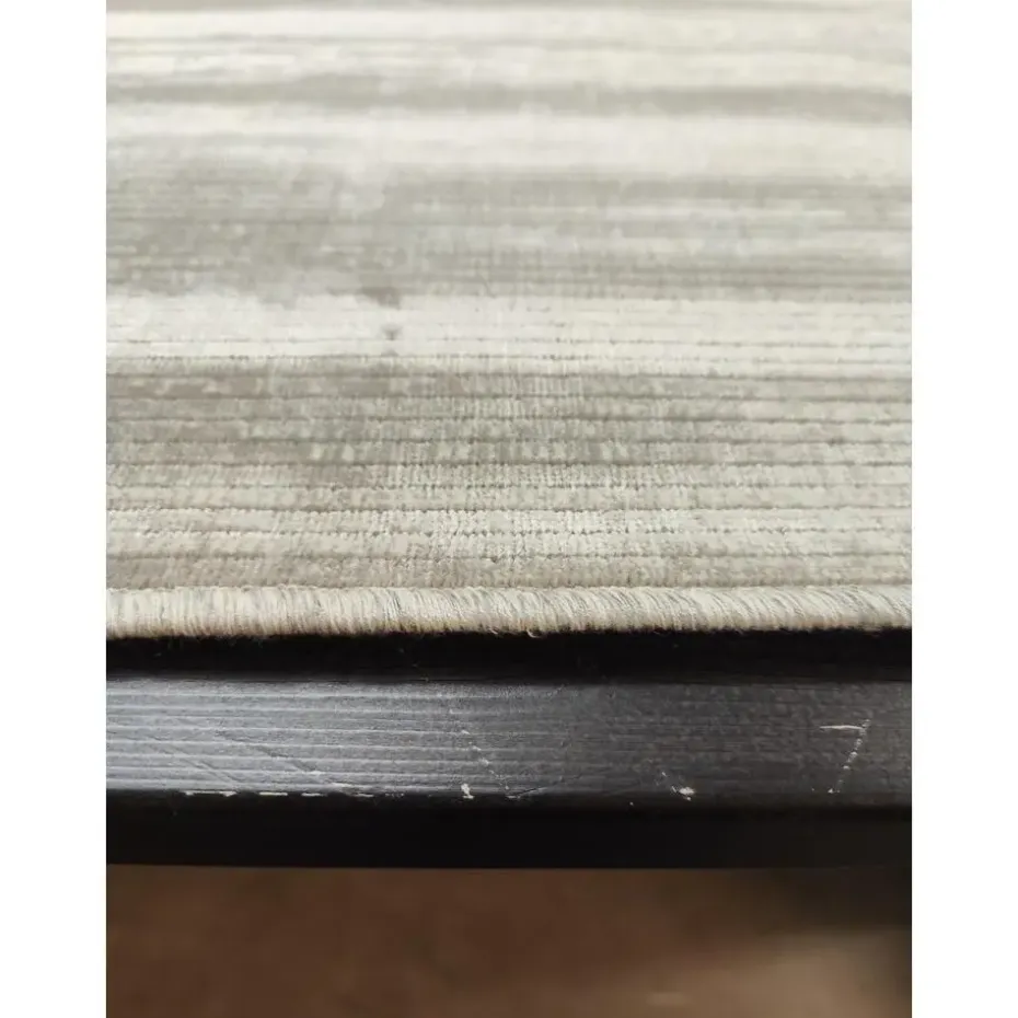 Dutch Lifestyle - Viscose - Vloerkleed - 160x230cm - Beige