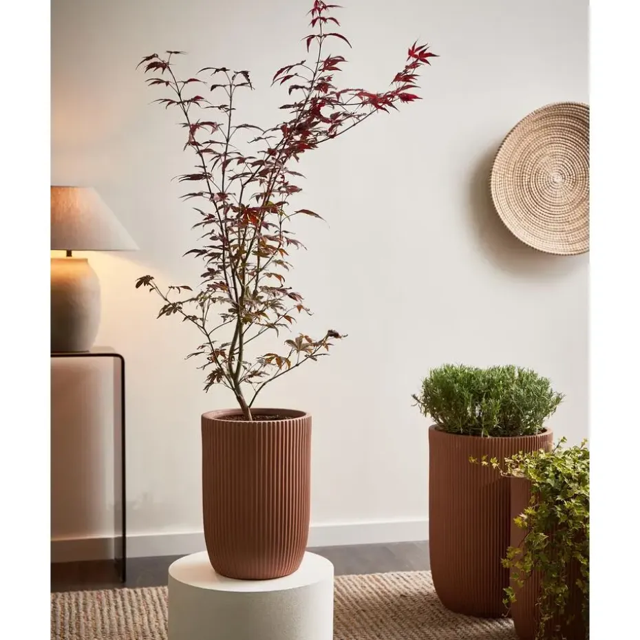 EANTIO - Bloempot - 25 x 25 x 38 cm - Bruin - Kleivezels