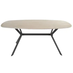 Eetkamertafel Keramiek - 180x90x76cm - Deens Ovaal - Ceramic