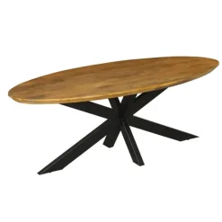 Eettafel Ovaal Naturel Mangohout - 210x100x76cm - Brandy