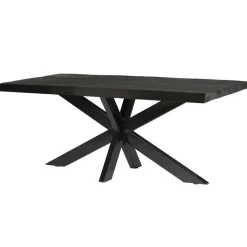 Eettafel Rechthoek 200cm - Zwart Mangohout - 4-6 personen - Norris