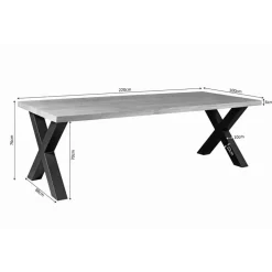 Eettafel Rechthoek Mangohout - X-Poot - 220x100x76cm - Denver