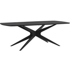 Eettafel Suzanne - zwart - 220x100 cm