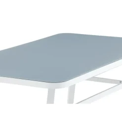 Eettafel Wit Grijs Glas - 160x90x74cm - Virya