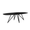 Eettafel Zwart Acaciahout - Ovaal - 240x110x76cm - Langford