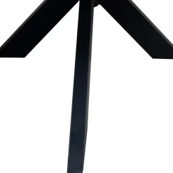 Eettafel Zwart Mangohout - 200x100x78cm - Diamond