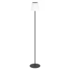 EGLO Scordiano-L Vloerlamp - Solar - 120 cm - Zwart