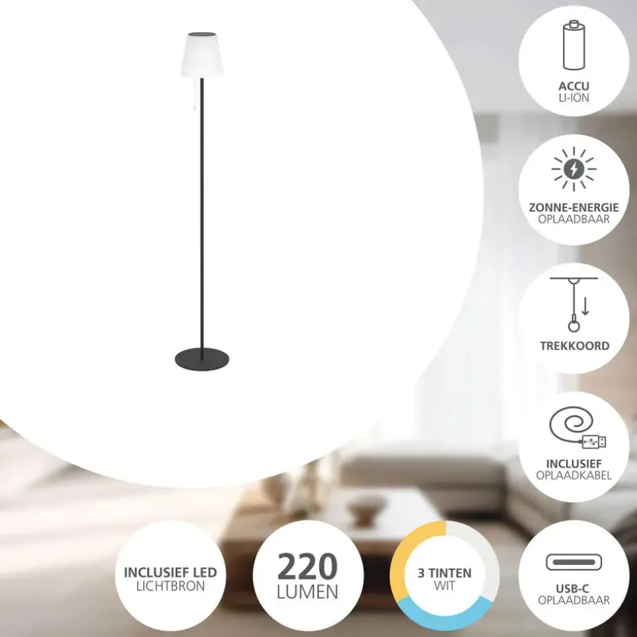 EGLO Scordiano-L Vloerlamp - Solar - 120 cm - Zwart