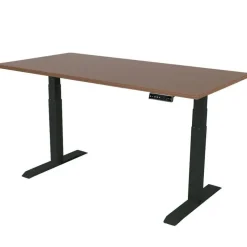 Elektrisch verstelbaar bureau - 160x80 cm - Dual motor - Zwart / Donker eiken