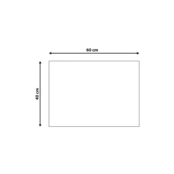 FANSIPAN - Deurmat - Zwart - 40 x 60 cm - Kokos