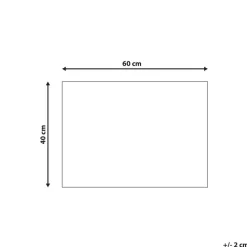FANSIPAN - Deurmat - Zwart - 40 x 60 cm - Kokos