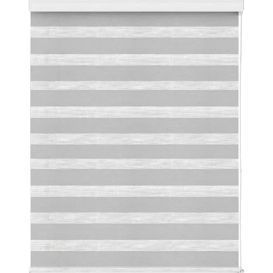Fenstr duo-rolgordijn lichtgrijs - 60x175 cm