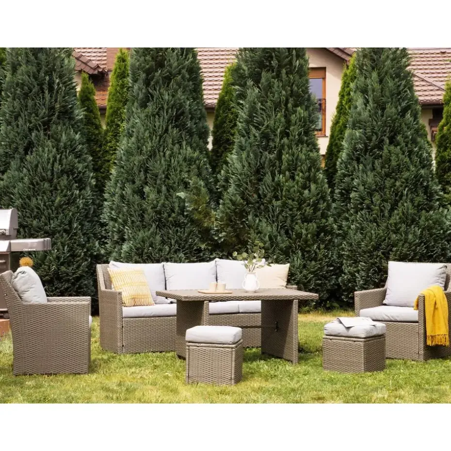 FONTI - Loungeset voor 5 - Natuurlijk - PE rotan