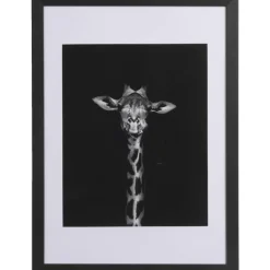 Fotolijst Haarlem - zwart - 50x70 cm