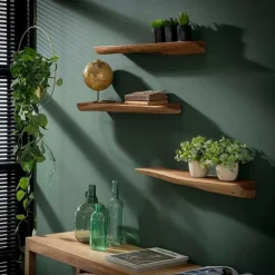 Fraaai - Woody wandplank set van drie