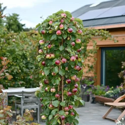 Fruitzuilen - Set van 3 - Apple, pear - Hoogte 60-70cm - ⌀9cm