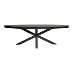 Furndea Eettafel Morada industrieel ovaal mangohout zwart 300x120x76cm