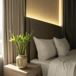 Geluksbamboe - Set van 6 - Dracaena sanderiana - Hoogte 40-50cm - ⌀2cm