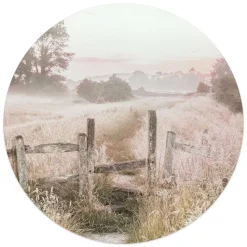 Glasschilderij Ochtenddauw in de weide - Ø 50cm - Beige