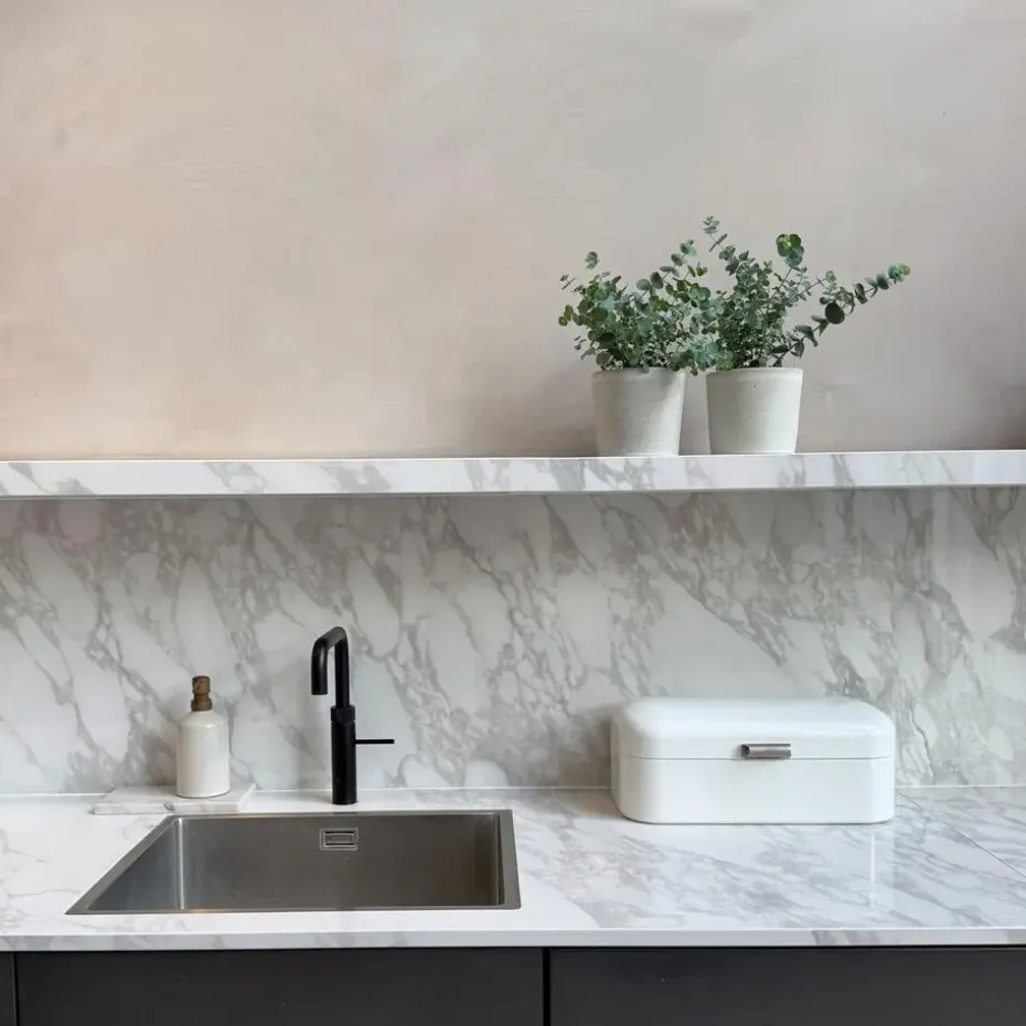 Gomboom - Set van 4 - Eucalyptus 'Pulverulenta' - Hoogte 25-40cm - ⌀12cm