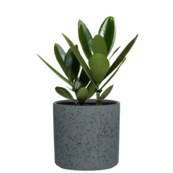 Hakbijl Plantenpot/bloempot Cindy - keramiek - D17 x H17 cm