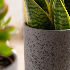 Hakbijl Plantenpot/bloempot Cindy - keramiek - D17 x H17 cm